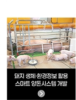 '돼지 생체·환경정보 활용 - 스마트 양돈시스템 개발