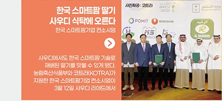 한국 스마트팜 딸기, 사우디 식탁에 오른다 / 한국 스마트팜기업 컨소시엄