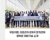 우듬지팜, 아프리카 8개국 장차관에 융복합 재배기술 소개