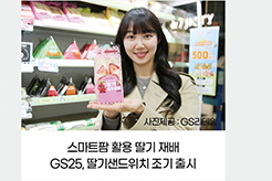 스마트팜 활용 딸기 재배 / GS25, 딸기샌드위치 조기 출시